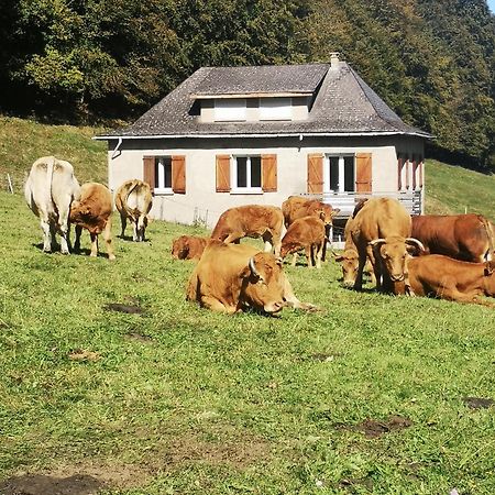 Villa Tourmalet à Campan Extérieur photo